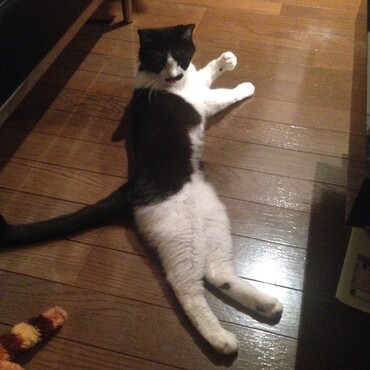 の写真