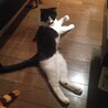 の写真