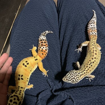の写真
