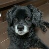 Jet ジェット