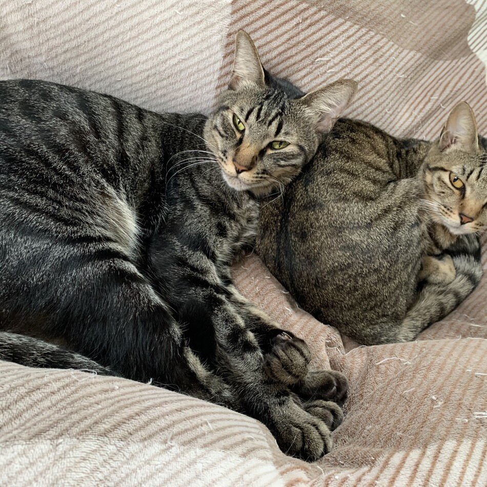 Kim (キム)のカバー写真