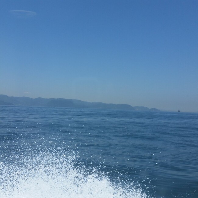 エッセンのカバー写真