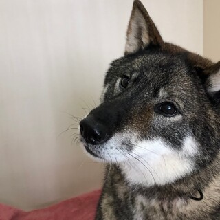 ご家族が決まりました！