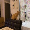 の写真