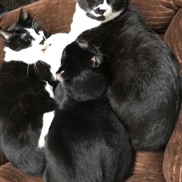 今年もお世話になりました。良いお年をお迎えください、館より愛を込めて！