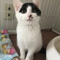 おっとりな性格の個性柄！