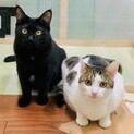 仲良し姉妹！【大阪市】