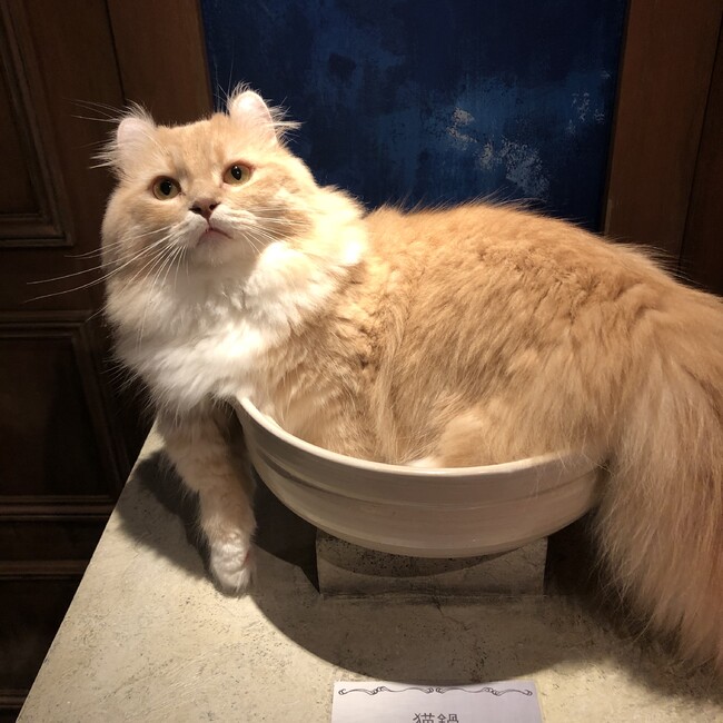 〜さすけ〜のカバー写真