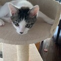 白ベースで黒のポイントがかっこいいね