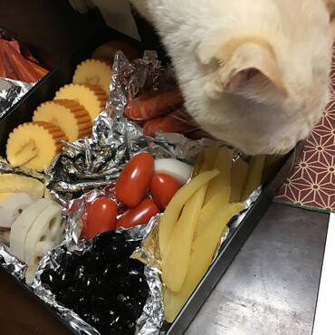 今年も海老から頂戴いたしやした！