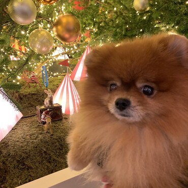 夜なのに明るい日