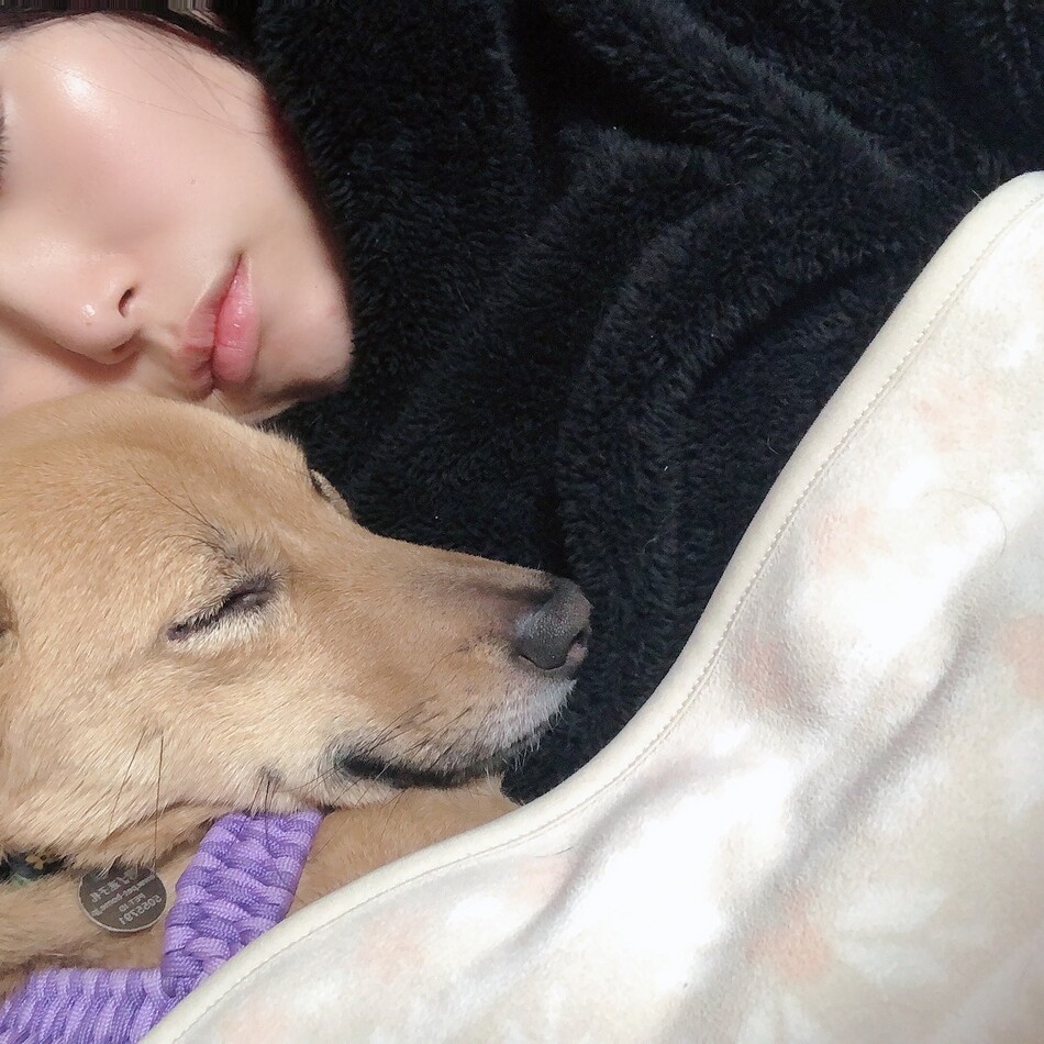 はちのカバー写真