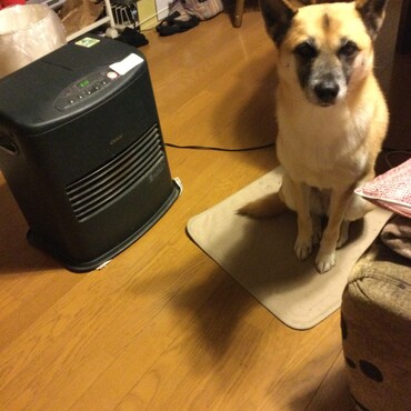 あけましておめでとうございます