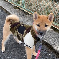 コタロー