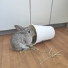 の写真