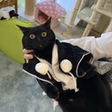 心優しい男の子、黒ぴゃん