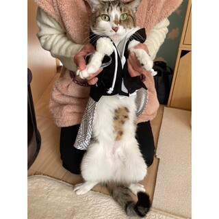 お笑い担当。動きが面白いきーちゃん　甘えん坊