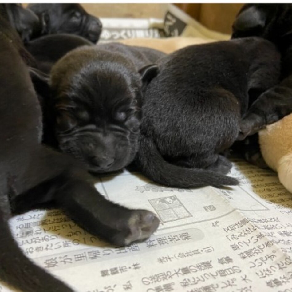 ジャックのカバー写真