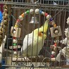 ブランコに乗ってくれるようになりました。