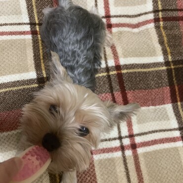 明けましておめでとうございます！忙しくしてますがみんな元気です！今年は穏やかな年になります様に…