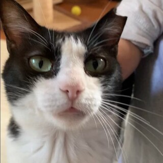 とても人懐っこい  うのちゃん
