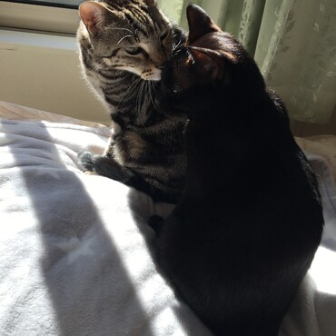 仲良く日向ぼっこ♡