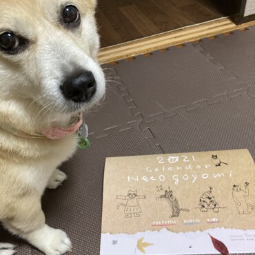 の写真