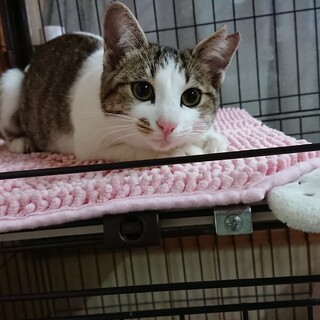 めちゃめちゃキュンです☆避妊血液検査済