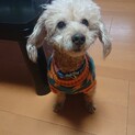 良いご縁がありました！