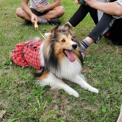 笑ってみましょう