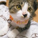 鈴ちゃん　〜人が大好き〜