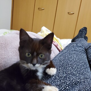 小っちゃな手袋をはめた女の子