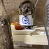 あらゆう さん