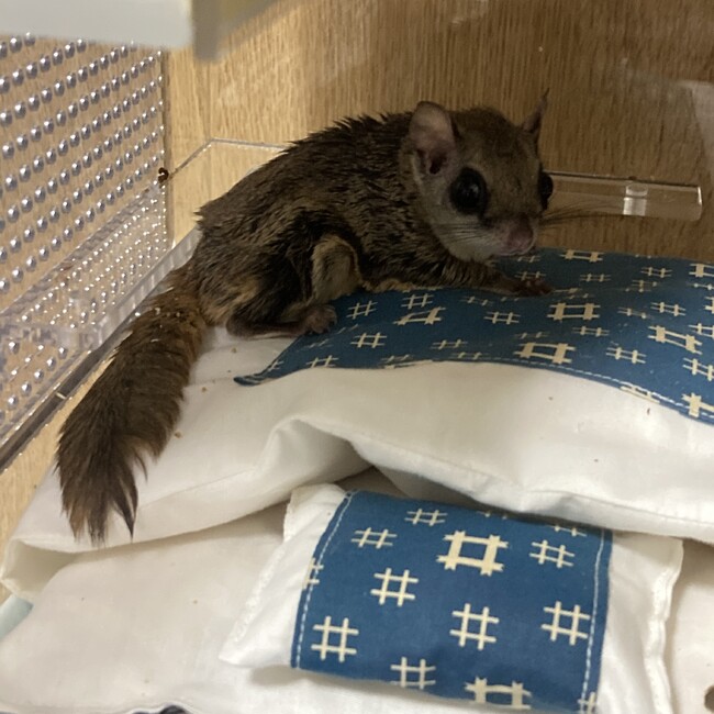 あらゆうのカバー写真