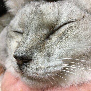 たった9年だったけど　楽しかったねー