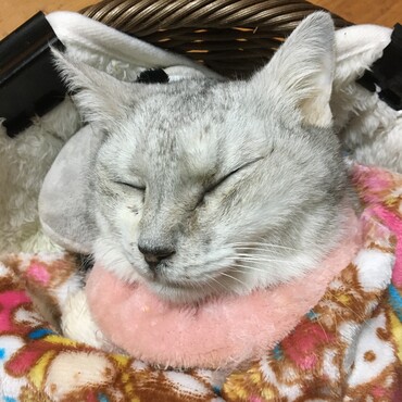 大好きだったよー