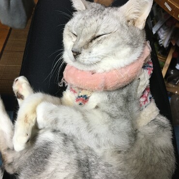 鼻ずーずー　苦しかったねー　頑張ったよ！