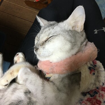 最後まで　キリッとしてて　偉かったよ！