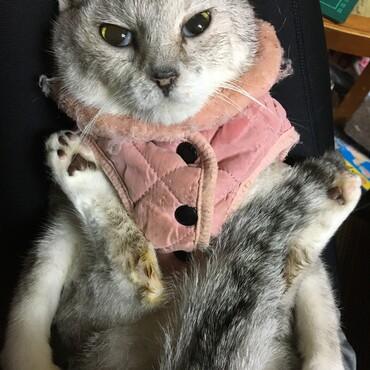 急だったから　母ちゃんもビックリだったよ