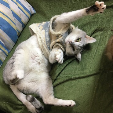 バイバイ　ナナちゃん！　お疲れさん