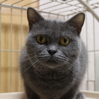 一旦募集停止します