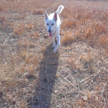 2021年　初走り　笑顔で過ごしたいね！