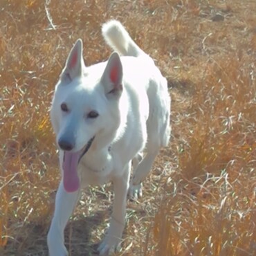 2021年　いい年にしようね！なな