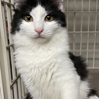 新しい家族ができました！（ジャスミン）