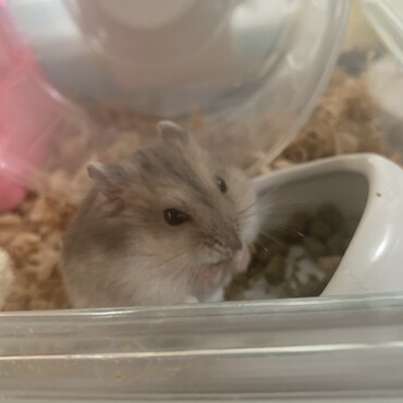 もぐもぐタイム