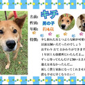 おっとり、まったりの吉くんです。