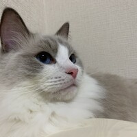 石田　碧（そら）