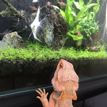 気になる様子