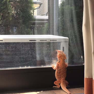部屋んぽ