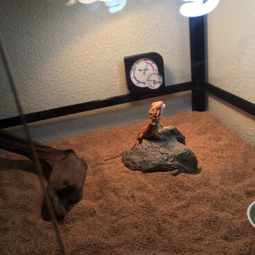 の写真